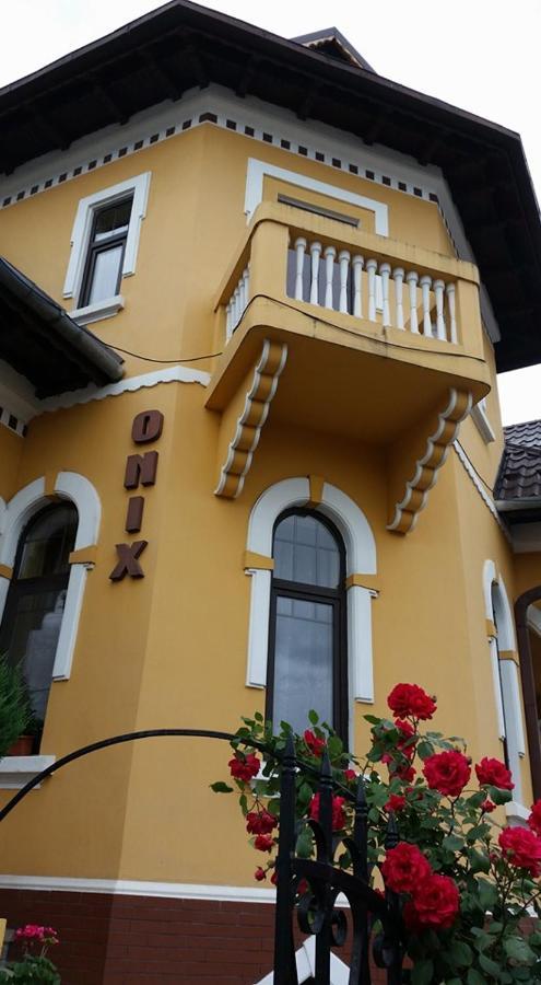 Pensiunea Onix Făgăraş Buitenkant foto