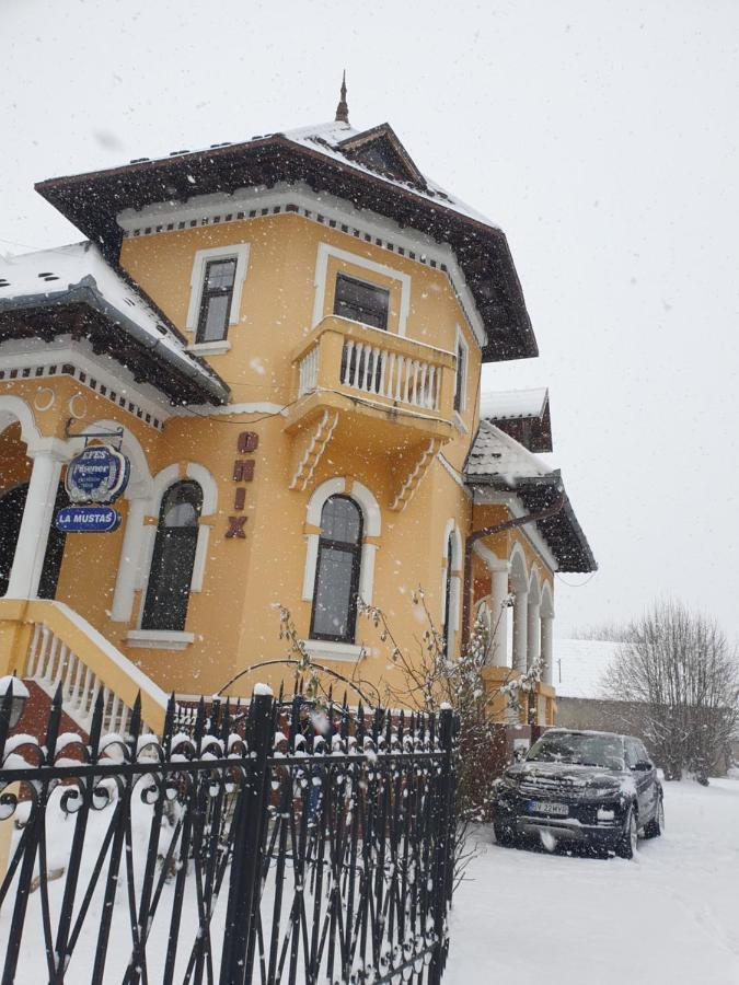 Pensiunea Onix Făgăraş Buitenkant foto