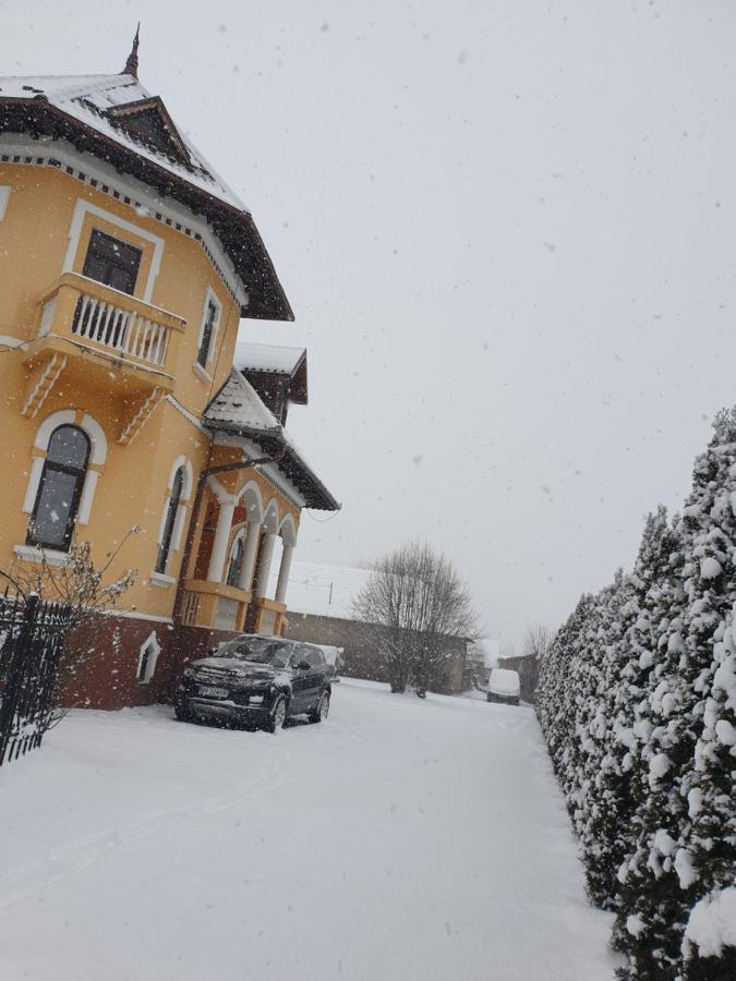Pensiunea Onix Făgăraş Buitenkant foto