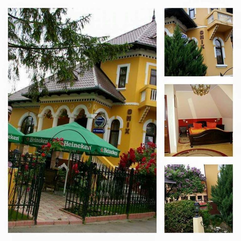 Pensiunea Onix Făgăraş Buitenkant foto