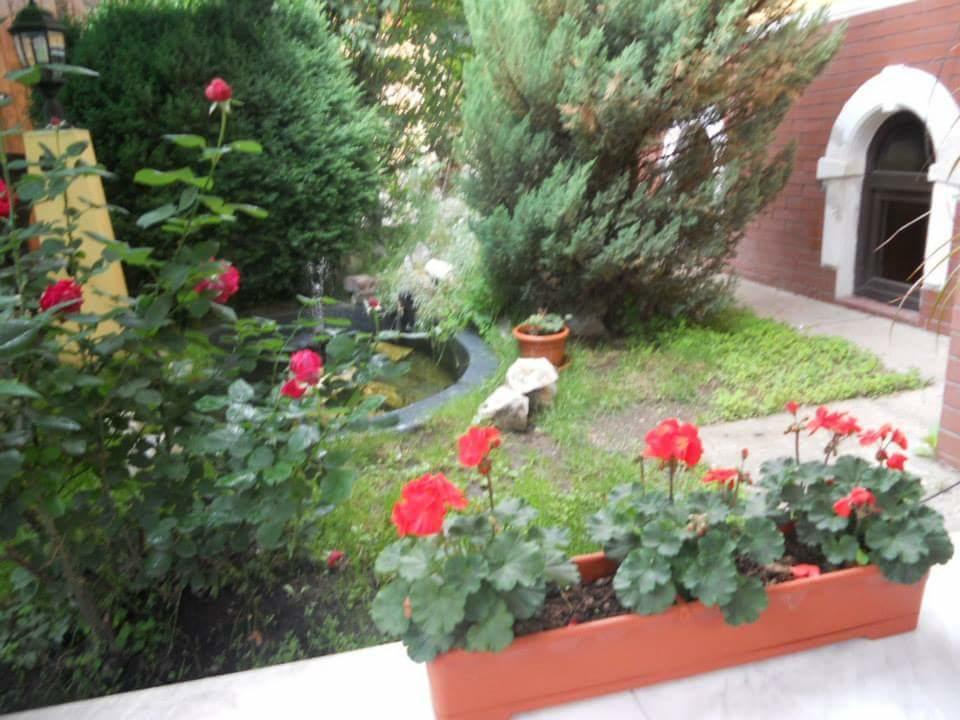 Pensiunea Onix Făgăraş Buitenkant foto