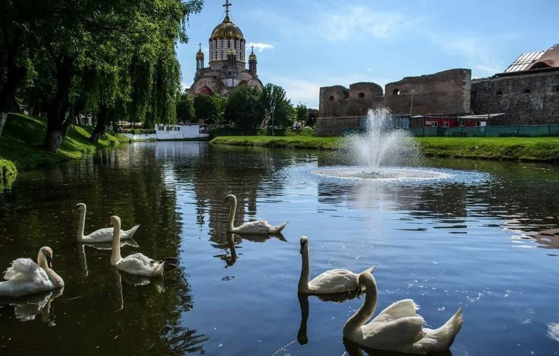 Pensiunea Onix Făgăraş Buitenkant foto