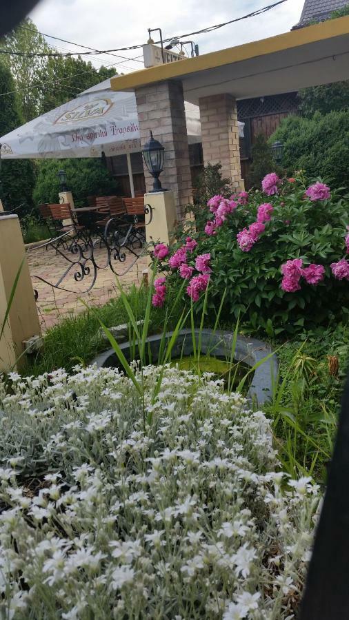 Pensiunea Onix Făgăraş Buitenkant foto