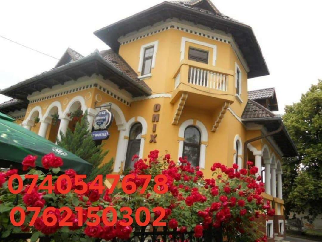 Pensiunea Onix Făgăraş Buitenkant foto