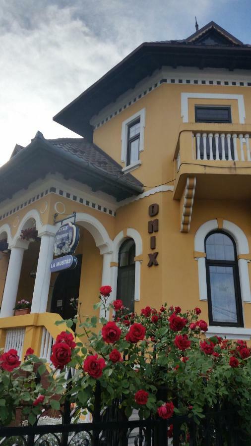 Pensiunea Onix Făgăraş Buitenkant foto