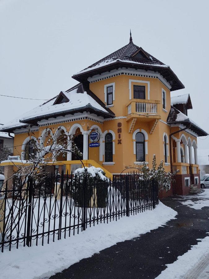 Pensiunea Onix Făgăraş Buitenkant foto